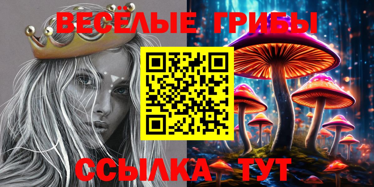 Санкт-Петербург  Псилоцибиновые грибы ЛСД  Вход с VPN  Галлюциногенные грибы Psilocybine cubensis 